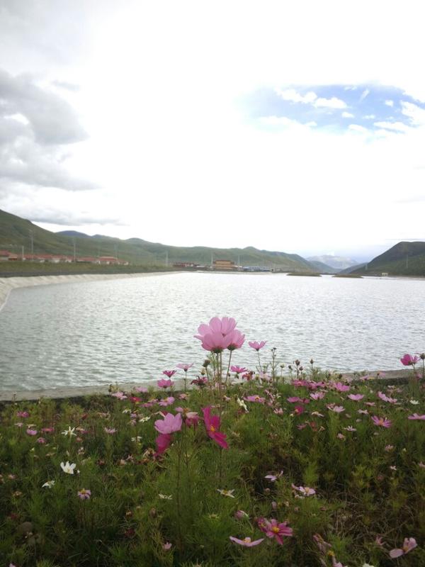 色达县乡镇分布图