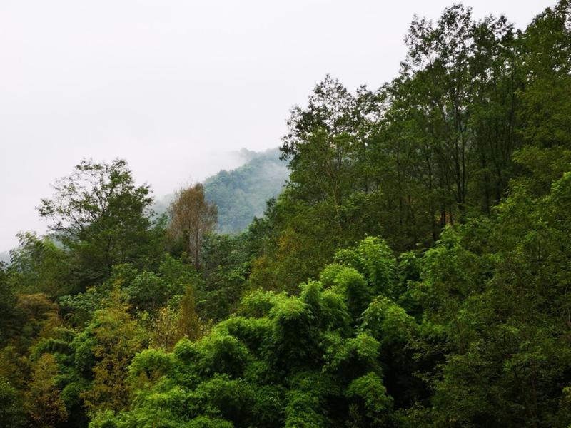 花水湾几月份去最好