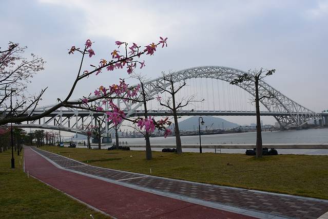 花海长廊必去三个景点