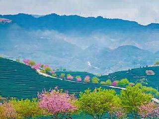 茶山最漂亮三个地方
