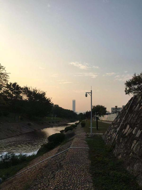 荔枝公园景点介绍