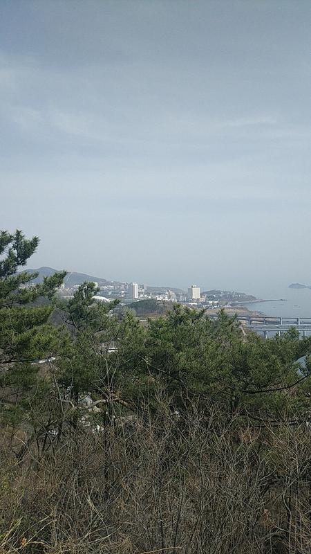 莲花山公园好玩不