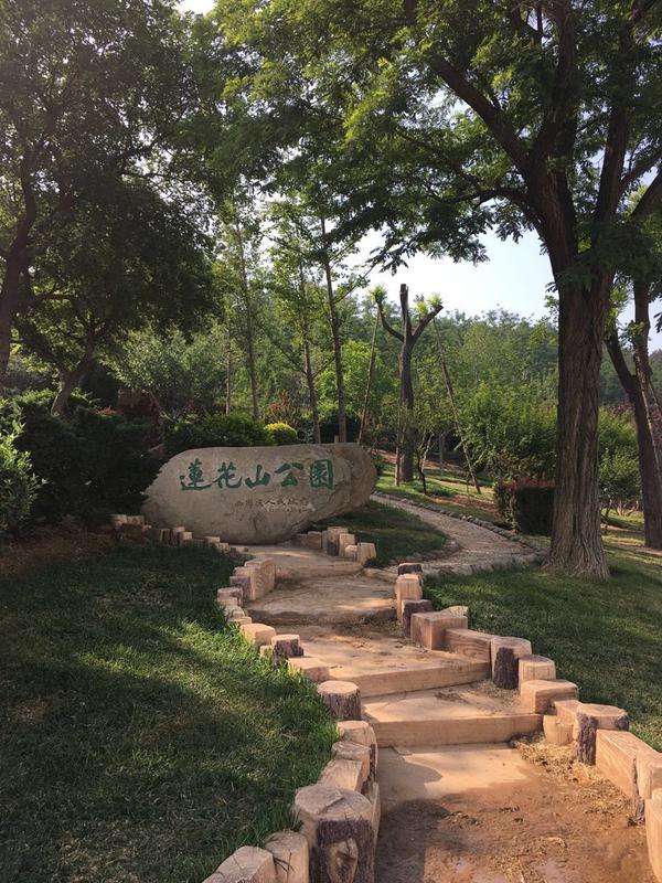 莲花山景点简介资料