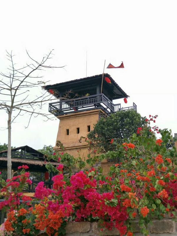 萝卜岗有必要去吗