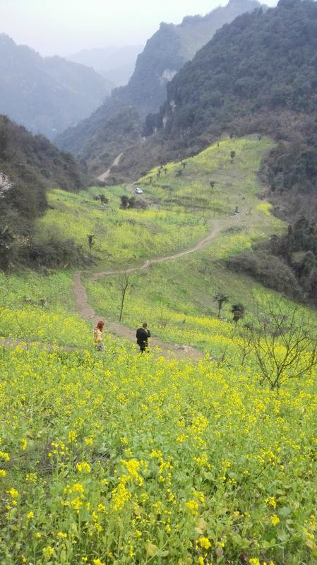 葛仙山旅游攻略