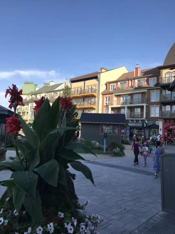 蓝山有什么好玩的景点