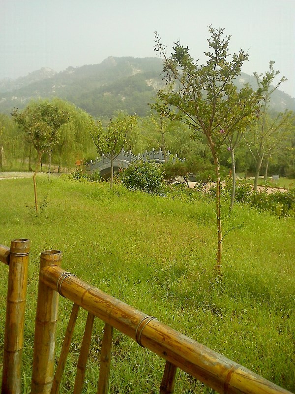 藏马山景区有哪些景点