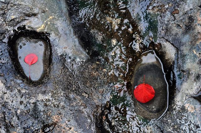 蚕姑坨为啥不建议去