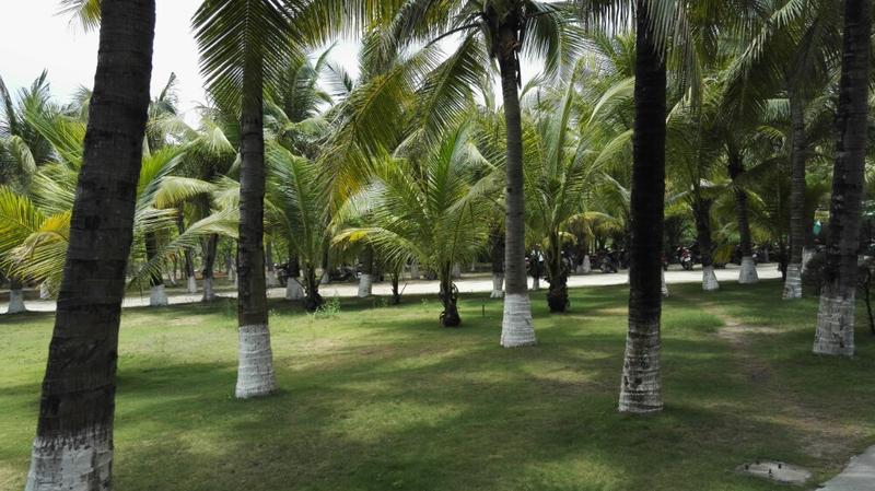 西岛攻略一日游