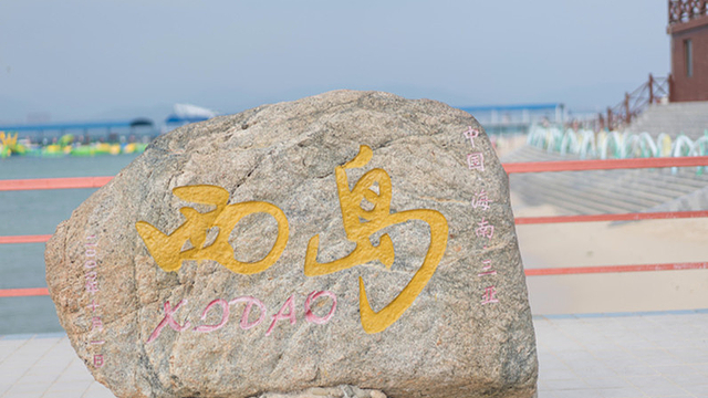 西岛最建议买的3样东西