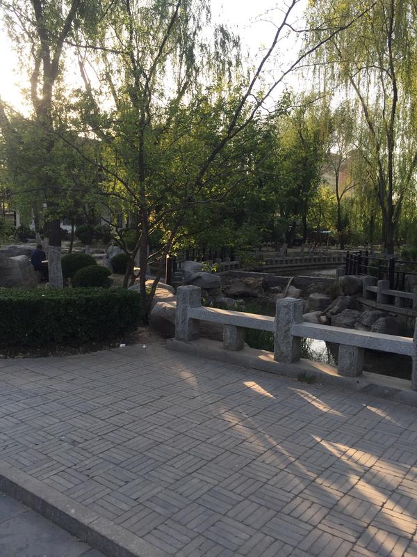 西沽公园简介