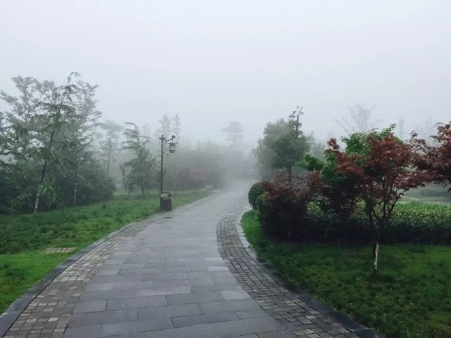 西溪在哪个城市