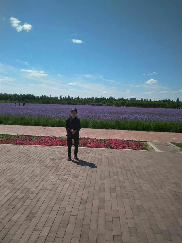 赛汗塔拉城中草原