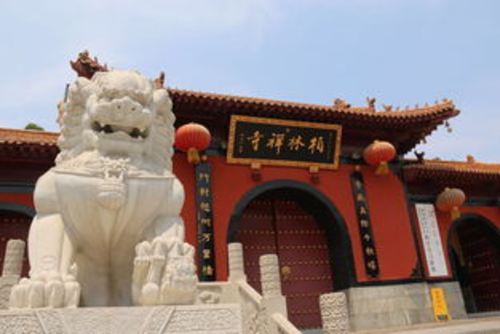 赵县柏林寺收费吗