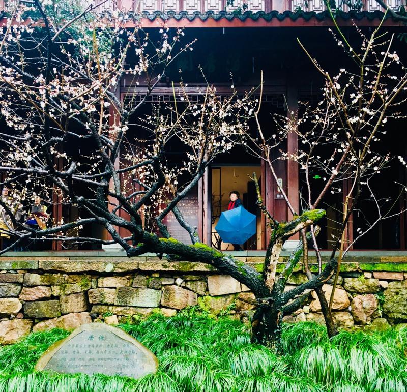 超山风景区在哪里