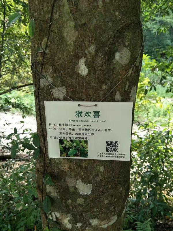 车八岭国家级自然保护区