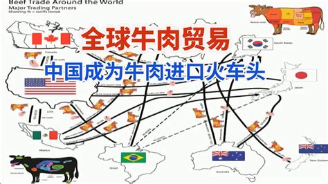进口牛肉安全吗