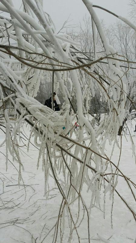 逊克县古纳温雾凇景区