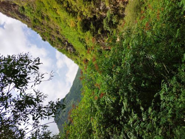遮阳山旅游风景区