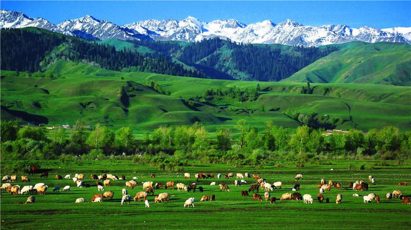 那拉提草原海拔