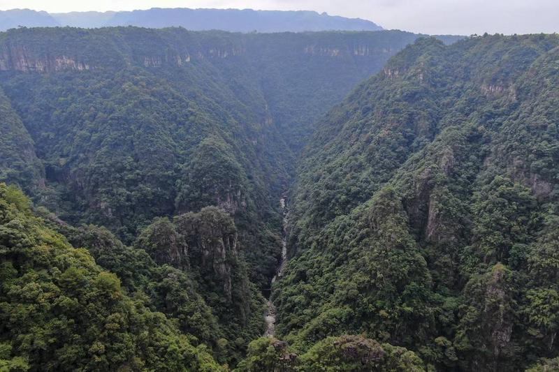 那棱格勒峡谷
