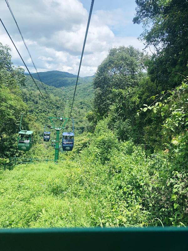 野象谷步行正确顺序