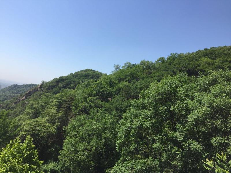 金沙滩必去三个景点