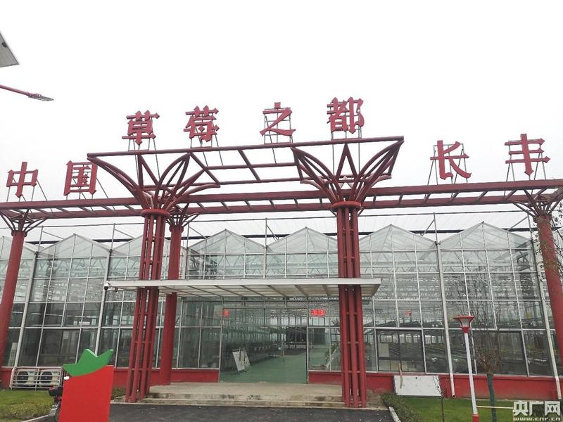 长安草莓园采摘地址