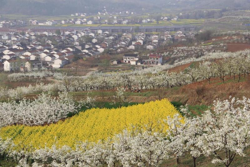 长溪镇属于哪里