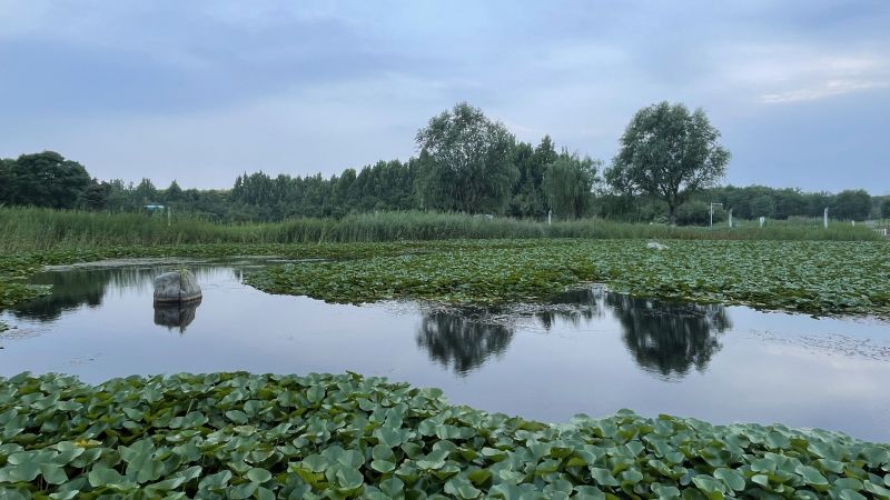 长阳公园有什么好玩的