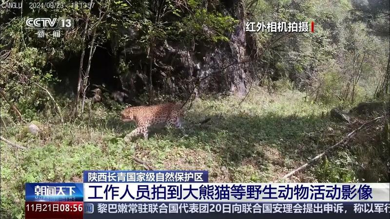 长青自然保护区