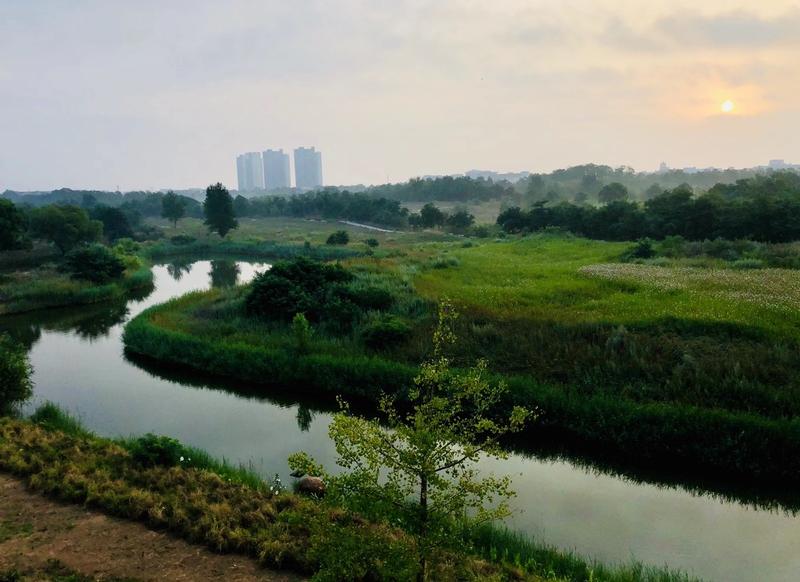 阿那亚官方网站入口