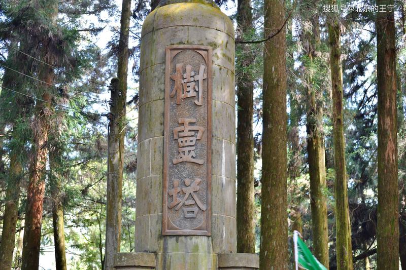 阿里山在哪个省