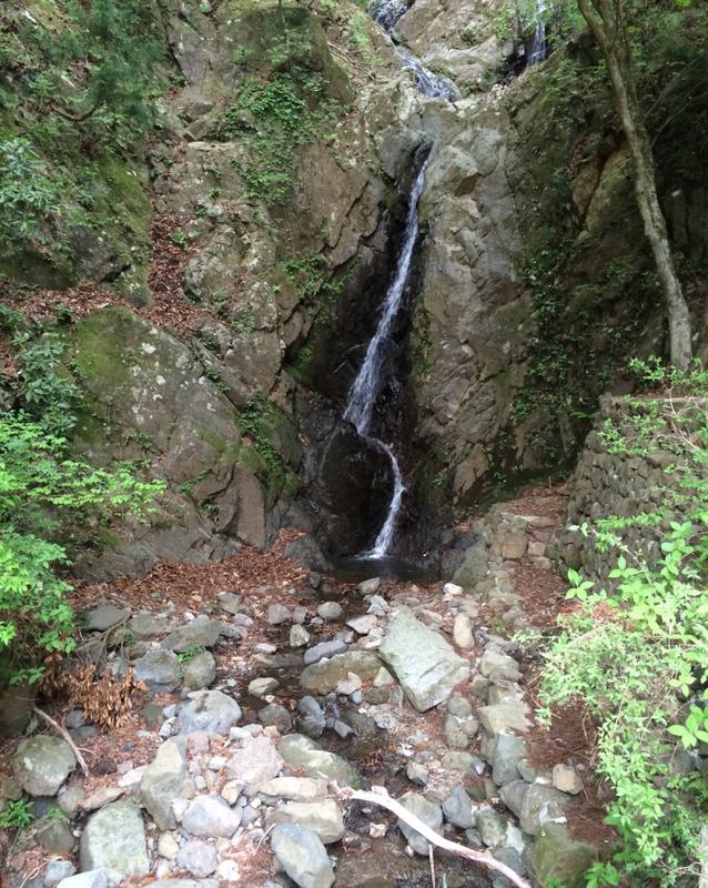 附近有什么山可以爬山