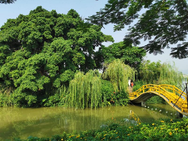 附近的公园免费景点