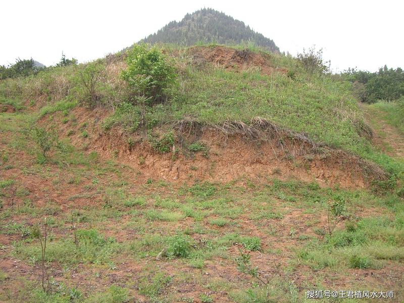 陈平安有几座山头