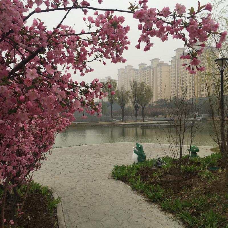 陵阳屈原文化园介绍