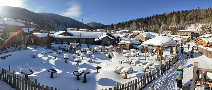 雪国森林在哪