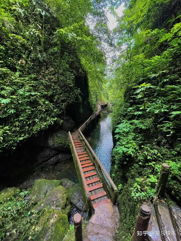 青城山下山晚了能出去吗