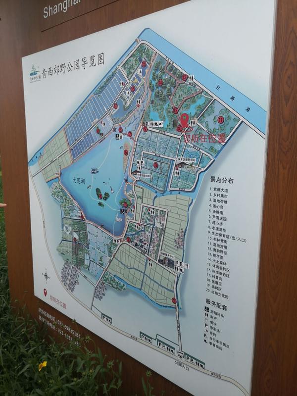 青西公园一日游最佳景点