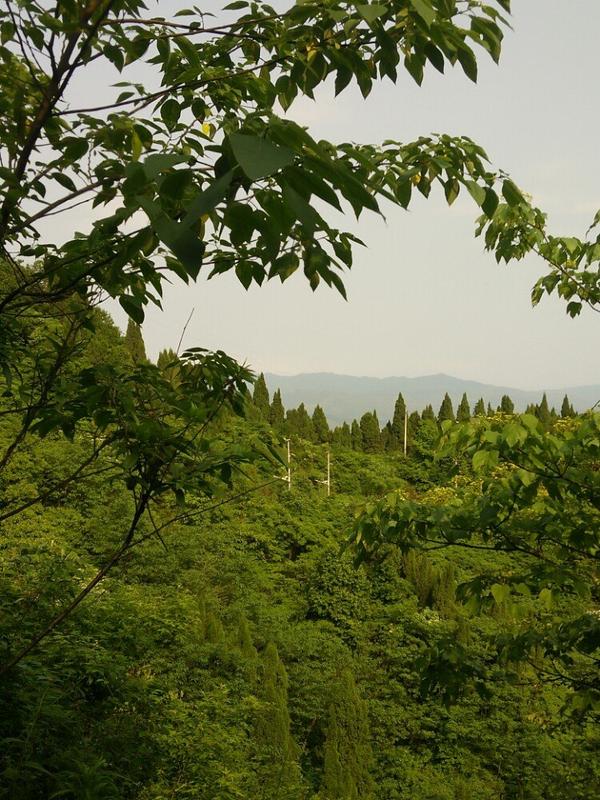 靖州飞山景区能开车上去吗