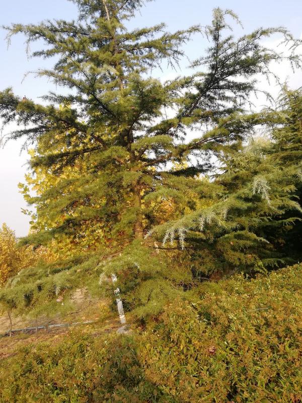 马山风景区的景色介绍