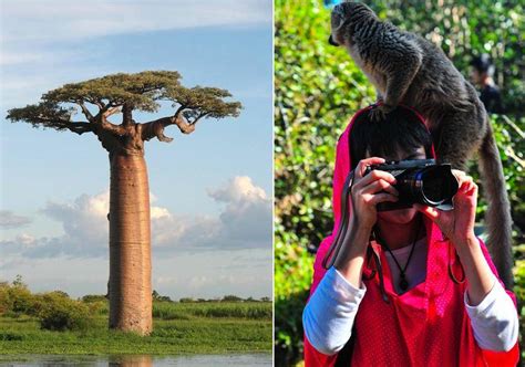 马达加斯加安全吗