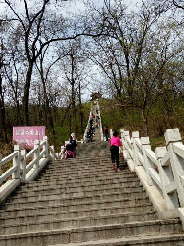 鹤伴山滨州的免费吗