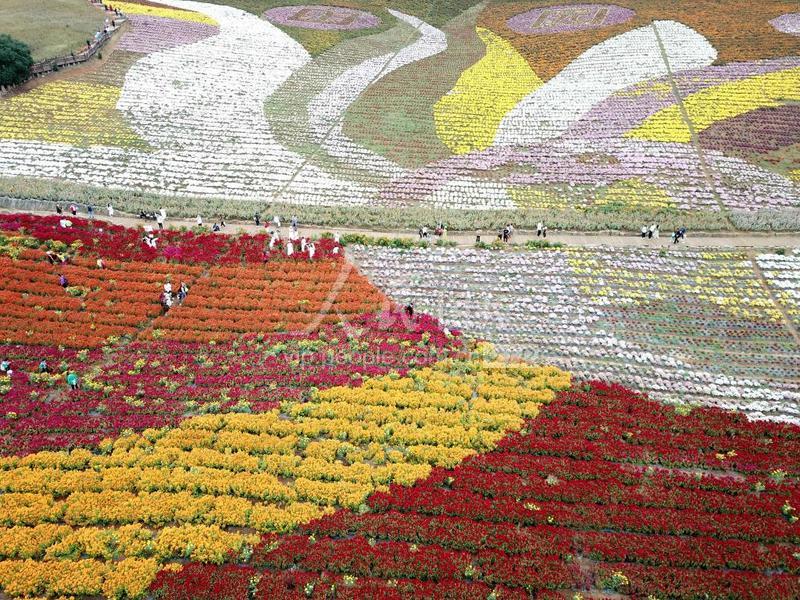 麻江县属于哪个省哪个市