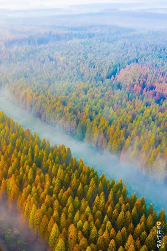 黄海国家森林公园