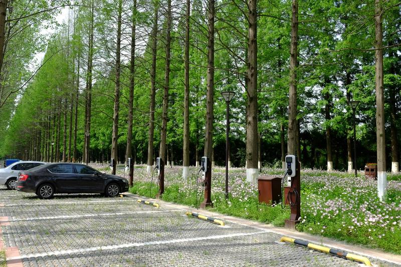 黄海森林公园面积m20平方米