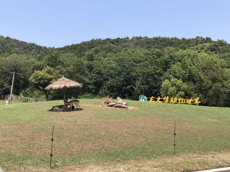 龙之梦太湖古镇攻略