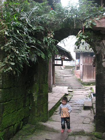 龙华最出名三个景点