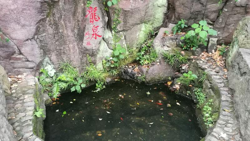 龙山风景区在哪里